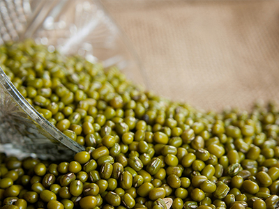 農(nóng)業(yè)部植物新品種保護(hù)辦公室關(guān)于征集第11批植物品種保護(hù)名錄的通知