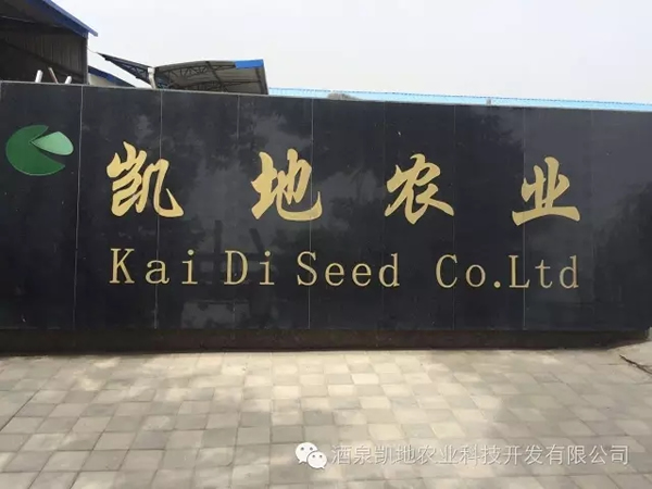 2017ʮЇ(gu)_˹̹Ї(gu)Ʒչ[(hu)AMekCʡ̄(w)dF(tun)Pw