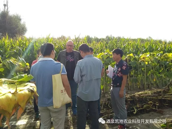 Қgӭ(gu)(ni)⌣Ҽ͑WRҹ˾ƷNԇ(yn)^ĦW(xu)(x)