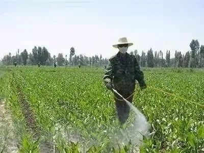 ݣʲôr(sh)gˎǧf(wn)ӛΣee(cu)